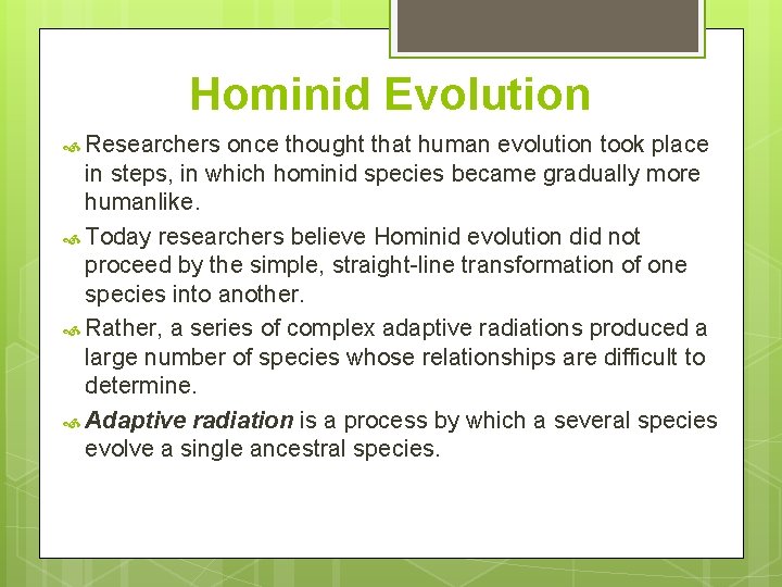 Hominid Evolution Researchers once thought that human evolution took place in steps, in which