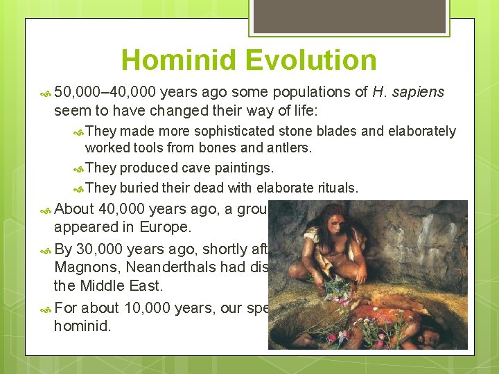 Hominid Evolution 50, 000– 40, 000 years ago some populations of H. sapiens seem