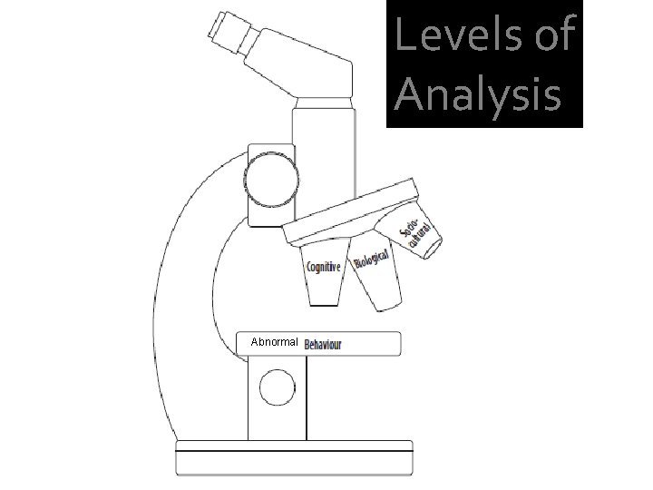 Levels of Analysis Abnormal 