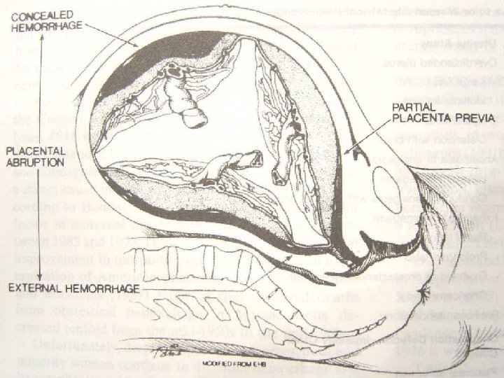 Pathology 