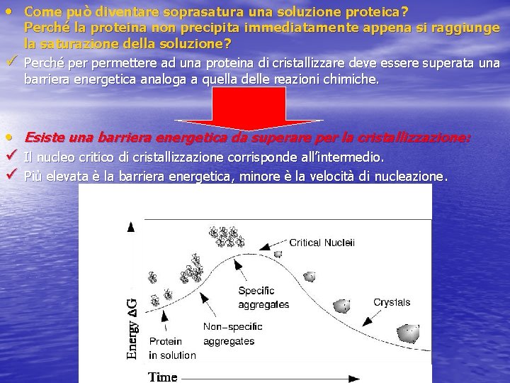  • Come può diventare soprasatura una soluzione proteica? ü • ü ü Perché