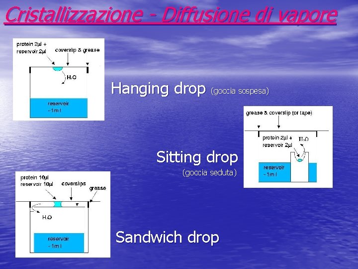 Cristallizzazione - Diffusione di vapore Hanging drop (goccia sospesa) Sitting drop (goccia seduta) Sandwich