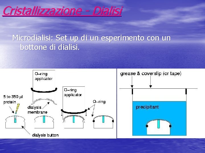 Cristallizzazione - Dialisi Microdialisi: Set up di un esperimento con un bottone di dialisi.