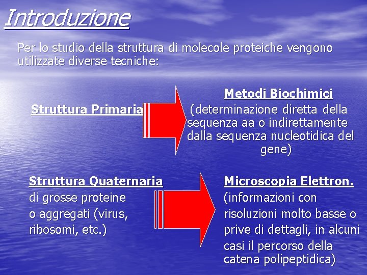 Introduzione Per lo studio della struttura di molecole proteiche vengono utilizzate diverse tecniche: Struttura