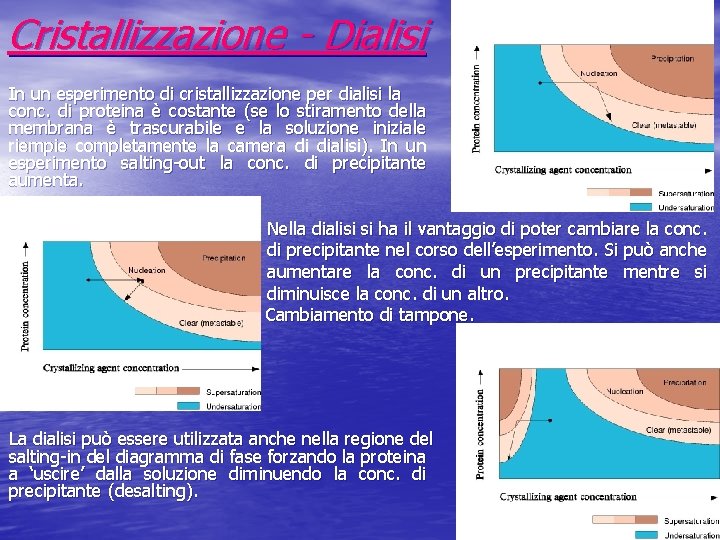Cristallizzazione - Dialisi In un esperimento di cristallizzazione per dialisi la conc. di proteina