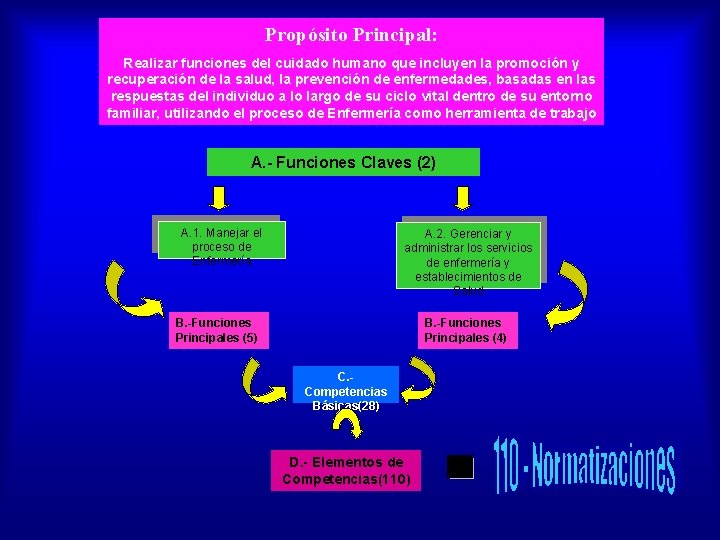 Propósito Principal: Realizar funciones del cuidado humano que incluyen la promoción y recuperación de