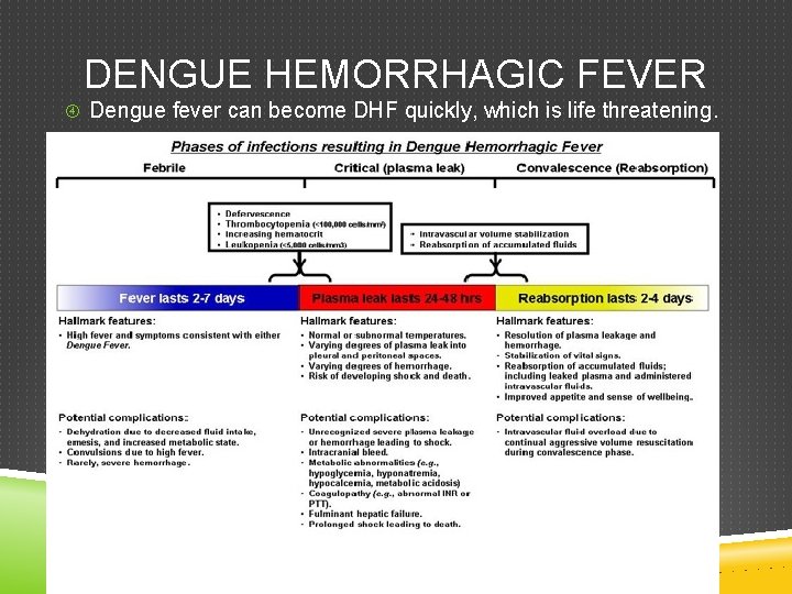 DENGUE HEMORRHAGIC FEVER Dengue fever can become DHF quickly, which is life threatening. 