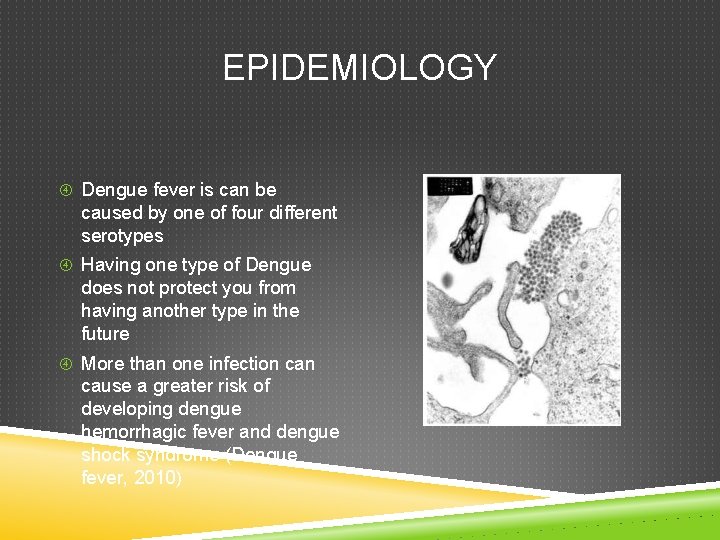 EPIDEMIOLOGY Dengue fever is can be caused by one of four different serotypes Having EPIDEMIOLOGY Dengue fever is can be caused by one of four different serotypes Having
