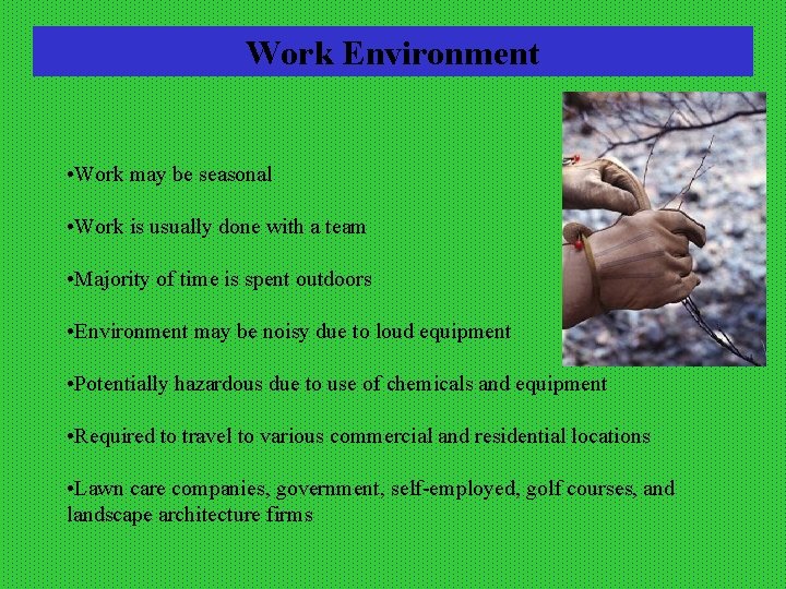 Work Environment • Work may be seasonal • Work is usually done with a