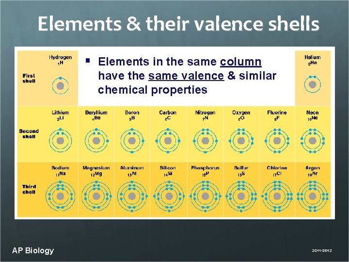 Elements & their valence shells § Elements in the same column have the same