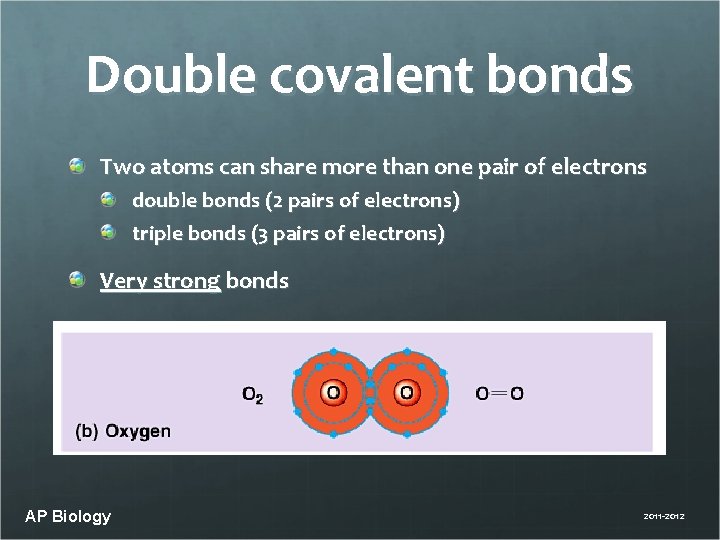 Double covalent bonds Two atoms can share more than one pair of electrons double