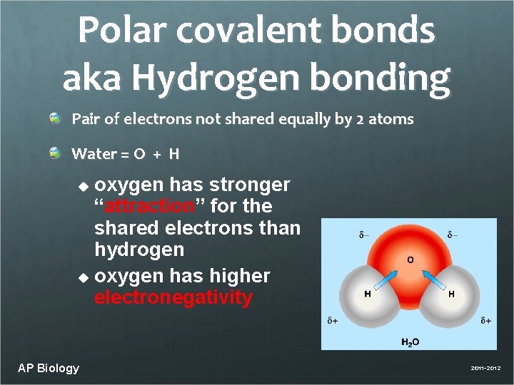 Polar covalent bonds aka Hydrogen bonding Pair of electrons not shared equally by 2