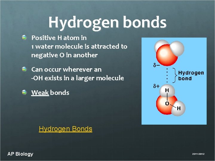 Hydrogen bonds Positive H atom in 1 water molecule is attracted to negative O