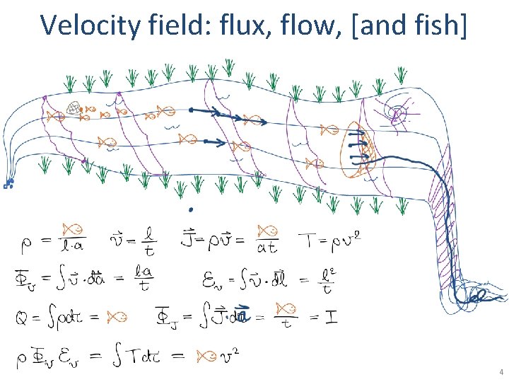 Velocity field: flux, flow, [and fish] 4 