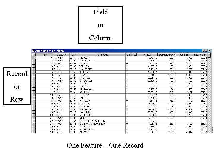 Field or Column Record or Row One Feature – One Record Field or Column Record or Row One Feature – One Record