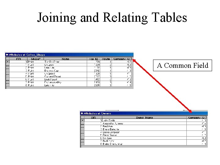 Joining and Relating Tables A Common Field Joining and Relating Tables A Common Field