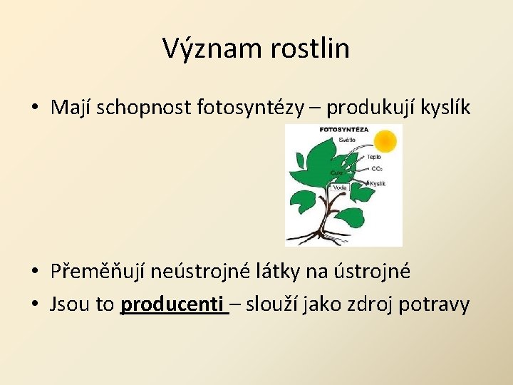 Význam rostlin • Mají schopnost fotosyntézy – produkují kyslík • Přeměňují neústrojné látky na