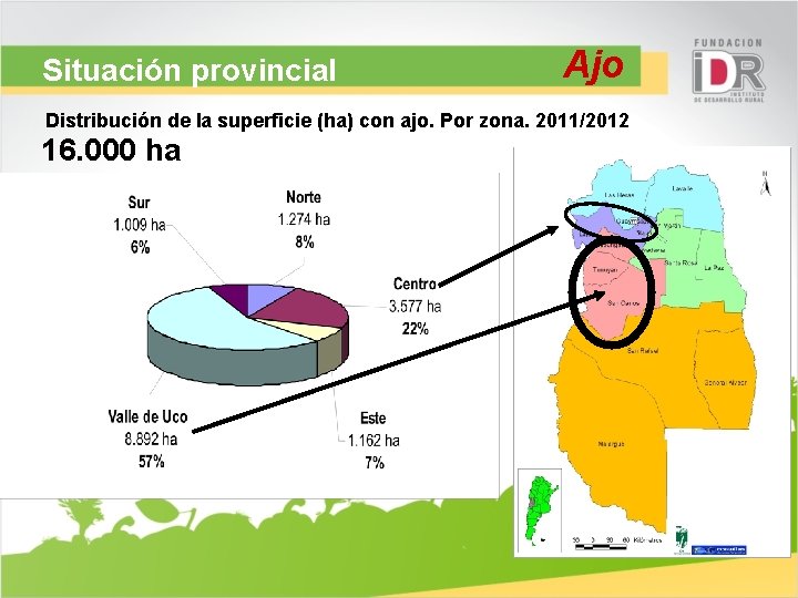 Situación provincial Ajo Distribución de la superficie (ha) con ajo. Por zona. 2011/2012 16.