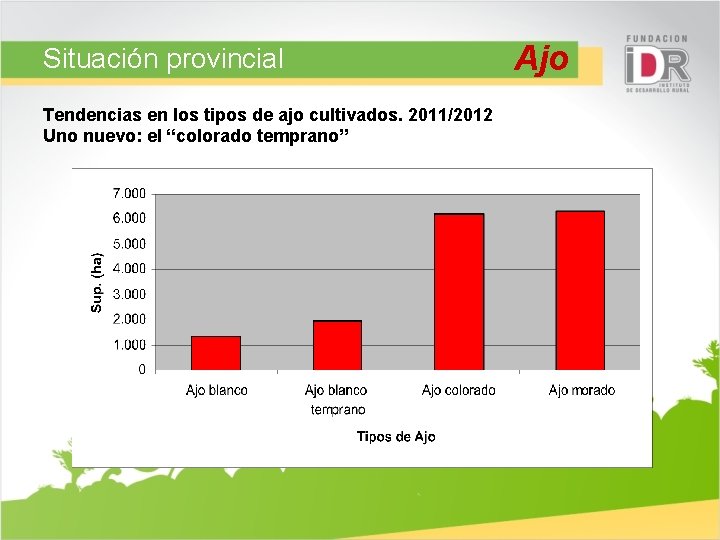 Situación provincial Tendencias en los tipos de ajo cultivados. 2011/2012 Uno nuevo: el “colorado