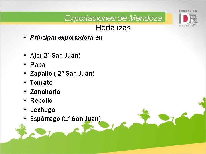 Exportaciones de Mendoza Hortalizas • Principal exportadora en • • Ajo( 2º San Juan)