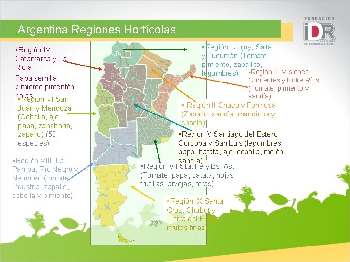Argentina Regiones Hortícolas §Región IV Catamarca y La Rioja Papa semilla, pimiento pimentón, hojas