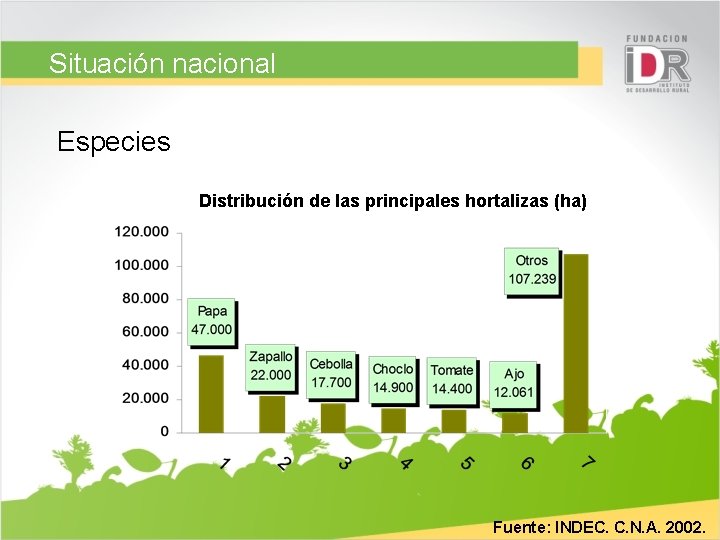 Situación nacional Especies Distribución de las principales hortalizas (ha) Fuente: INDEC. C. N. A.