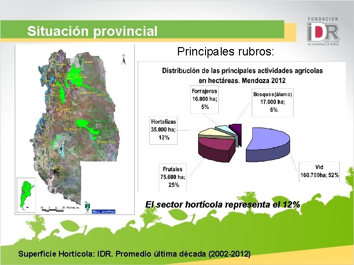 Situación provincial Principales rubros: El sector hortícola representa el 12% Superficie Hortícola: IDR. Promedio