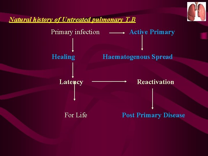 Natural history of Untreated pulmonary T. B Primary infection Healing Latency For Life Active