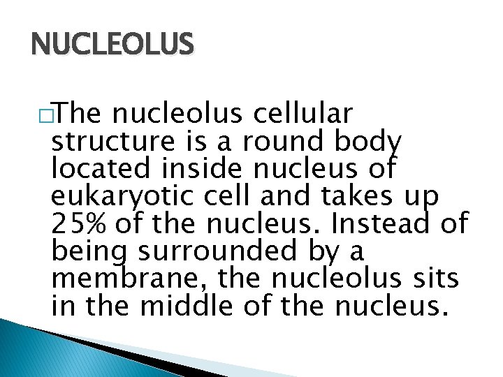 NUCLEOLUS �The nucleolus cellular structure is a round body located inside nucleus of eukaryotic