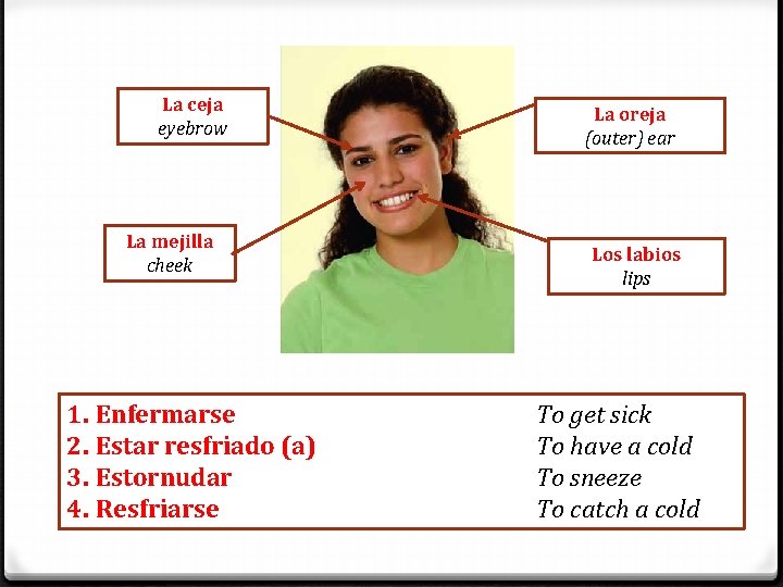 La ceja eyebrow La mejilla cheek 1. Enfermarse 2. Estar resfriado (a) 3. Estornudar