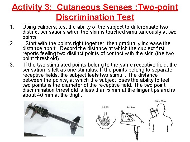 Activity 3: Cutaneous Senses : Two-point Discrimination Test 1. 2. 3. Using calipers, test