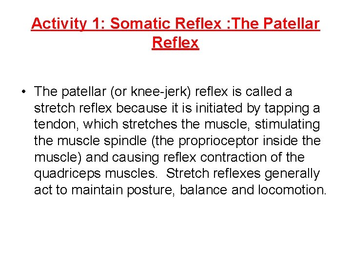 Activity 1: Somatic Reflex : The Patellar Reflex • The patellar (or knee-jerk) reflex