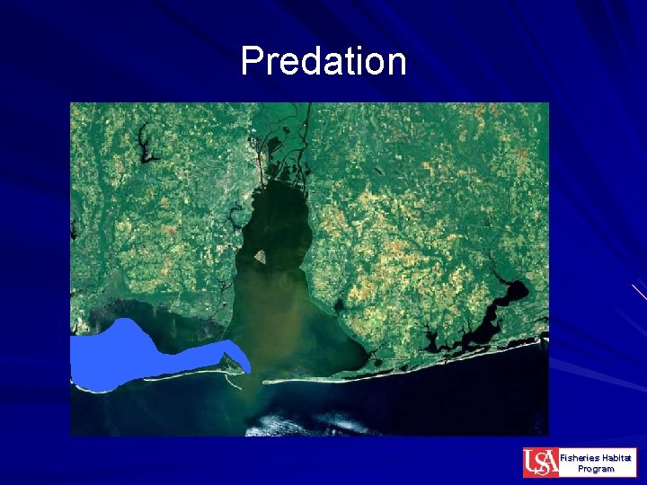 Predation Fisheries Habitat Program 