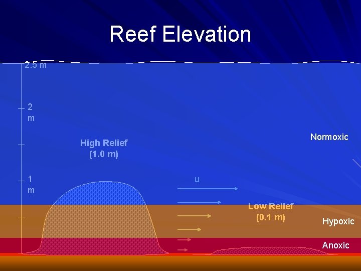 Reef Elevation 2. 5 m 2 m Normoxic High Relief (1. 0 m) 1