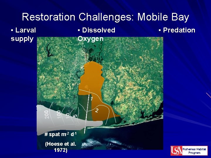 Restoration Challenges: Mobile Bay • Larval supply • Dissolved Oxygen • Predation 2 10