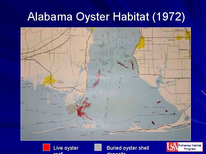 Alabama Oyster Habitat (1972) Live oyster Buried oyster shell Fisheries Habitat Program 