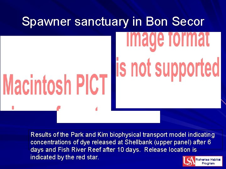 Spawner sanctuary in Bon Secor Results of the Park and Kim biophysical transport model