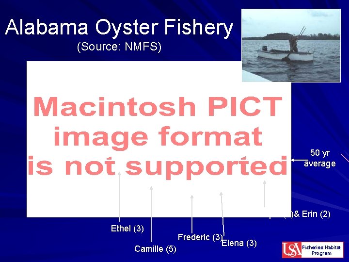 Alabama Oyster Fishery (Source: NMFS) 50 yr average Opal (3)& Erin (2) Ethel (3)