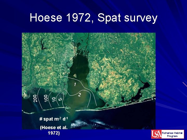 Hoese 1972, Spat survey 2 10 5 100 200 1 # spat m-2 d-1