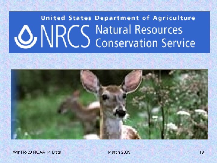 Win. TR-20 NOAA 14 Data March 2009 19 