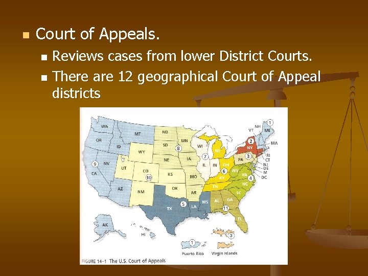 n Court of Appeals. Reviews cases from lower District Courts. n There are 12