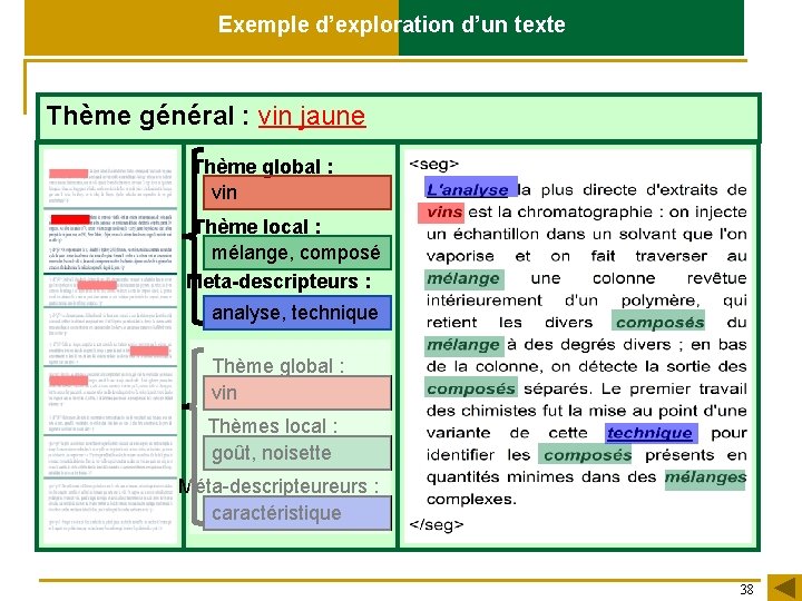 Exemple d’exploration d’un texte Thème général : vin jaune Thème global : vin Thème