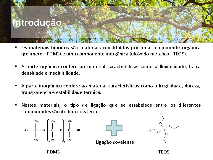 Introdução § Os materiais híbridos são materiais constituídos por uma componente orgânica (polímero -