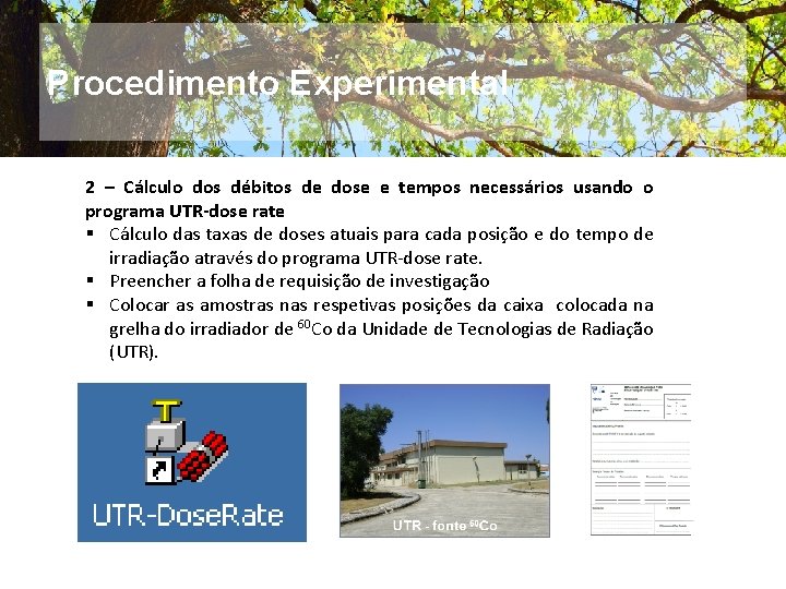 Procedimento Experimental 2 – Cálculo dos débitos de dose e tempos necessários usando o