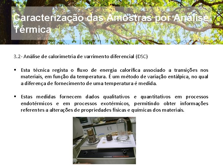 Caracterização das Amostras por Análise Térmica 3. 2 - Análise de calorimetria de varrimento