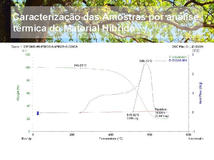 Caracterização das Amostras por análise térmica do Material Híbrido 