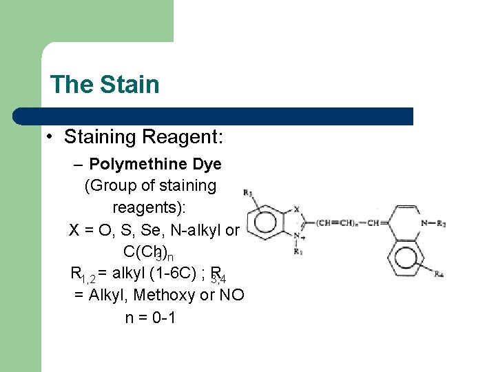The Stain • Staining Reagent: – Polymethine Dye (Group of staining reagents): X =