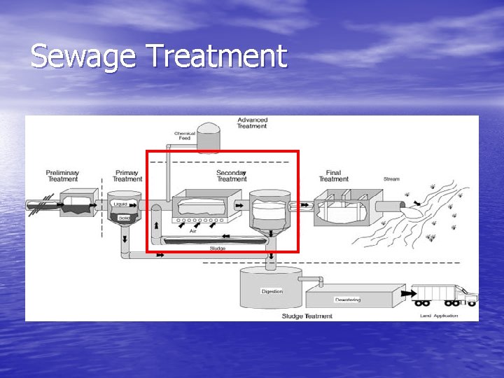 Sewage Treatment 