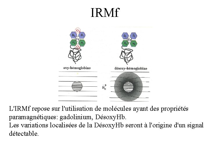 IRMf L'IRMf repose sur l'utilisation de molécules ayant des propriétés paramagnétiques: gadolinium, Désoxy. Hb.