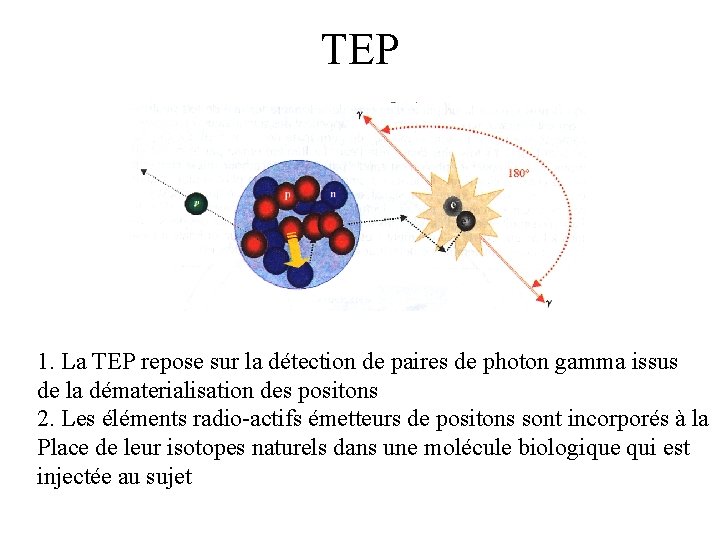 TEP 1. La TEP repose sur la détection de paires de photon gamma issus